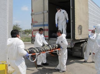Traslado. Peritos forenses trasladan a cajas frigoríficas más cadáveres encontrados en el poblado de San Fernando.  EFE