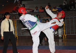 El viernes 8 de febrero se realizará la Asamblea Anual Ordinaria de la Asociación de Tae Kwon Do de Coahuila, donde se renovará la mesa directiva. Taekwondo coahuilense cambiará de directiva