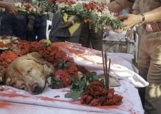 El can fue despedido como un héroe, y a su funeral asistieron funcionarios y jefes de la policía de Bombay.  (ESPECIAL)