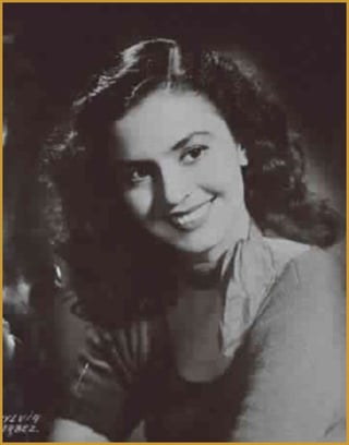 Silvia se convirtió en una celebridad, tanto nacional como internacional, durante la década de 1950, una era en la cual participó en dieciséis películas.