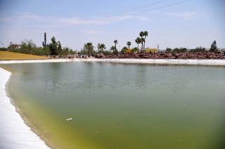 Nueva área verde. Aspecto de uno de los dos lagos que tiene el Bosque Urbano de Torreón.