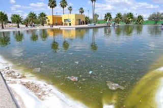Insalubridad. Verde,  con mal olor y desechos es como se observa el lago del Bosque Urbano de Torreón,  esto a pesar de que se utilizan bombas hidroneumáticas para mantenerla en circulación constante. 