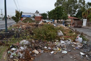 Muebles. Vecinos de otras colonias llegan a tirar basura en la calle Cipreses entre Caoba y Roble. 