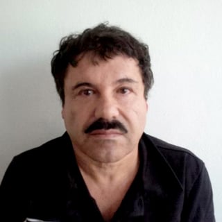 A Guzmán Loera le fueron fincados los delitos de delincuencia organizada y contra la salud, en la modalidad de posesión con fines de comercio, en la hipótesis de venta de clorhidrato de cocaína.
