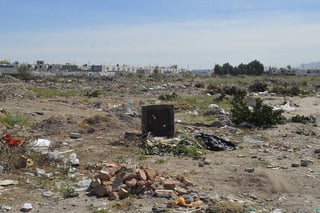 Escombro. El año pasado ‘Laguna Yo Te Quiero’ realizó una campaña de limpieza en Torreón, Gómez Palacio y Lerdo.