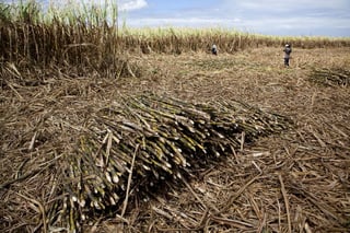 Guajardo. El secretario de Economía señaló que el gobierno no subsidia a la industria azucarera, como denuncia Estados Unidos.