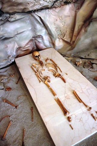 En un comunicado del INAH se señala que los cráneos corresponden al Hombre de Chimalhuacán (10,500 años), encontrado en 1984. (EFE)
