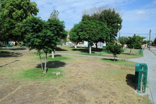 Reforestación. En este año se han atendido 82 plazas en colonias de Torreón.