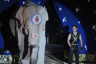 El Congreso del Estado voto a favor de la prohibición para utilizar animales en circos o cualquier tipo de espectáculos. (ARCHIVO)