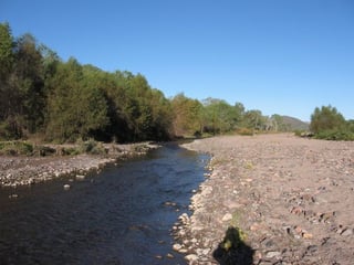 Veneno. El río Sonora mantiene altos contenidos de químicos que lo covierten en un riesgo para la salud humana.