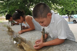 Agua limpia. Habrá líquido puro con la instalación de bebederos en algunas escuelas de San Pedro.