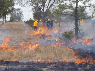 Afectación.  Esta temporada de incendios se registraron cerca de 200 siniestros en la entidad.