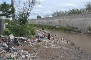Los vecinos han comentado que esta situación se ha vuelto muy incómoda y un peligro para los habitantes de la zona. (El Siglo de Torreón) 