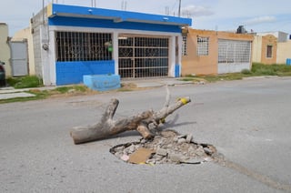 Exigen reparaciones. Hundimientos afectan el pavimento de colonias como Villas del Bosque y Villa Zaragoza en Torreón.