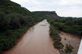 Naturaleza. El Río Sonora continúa su lucha natural por recuperarse del derrame tóxico.