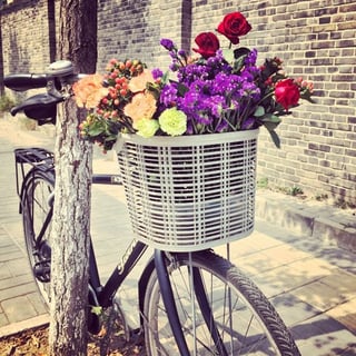 Arte y protesta. Cada día el artista coloca en la canasta de la bicicleta que permanece afuera de su estudio un ramo fresco de flores.