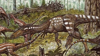 Según los científicos el dinosaurio, que se estima, vivió hace unos 200 millones de años, era un animal bípedo relativamente pequeño de entre 1.5 metros a 2 metros de largo aproximadamente. (ESPECIAL)