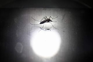 Llaman a la población mantener las medidas preventivas que se tienen contra el dengue, ya que es el mismo mosquito el transmisor de esta enfermedad. (Archivo)