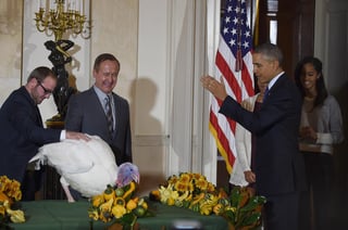 El presidente de Estados Unidos, Barack Obama, le perdonó la vida a dos pavos por el Día de Acción de Gracias; las aves serán enviadas a una granja de Virginia.