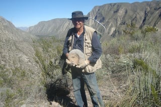 Hallazgo. El doctor Jesús Quiroz Barragán muestra uno de los fósiles encontrados en la Sierra.