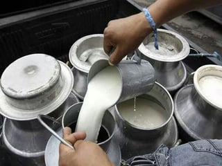 Denuncia. Aseguran productores de leche que Liconsa está adulterando el producto en algunos estados del país.