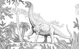 Los saurópodos eran dinosaurios herbívoros y cuadrúpedos de gran tamaño, caracterizados por un cuello de diez o más vértebras cervicales y una cola robusta. (ARCHIVO)