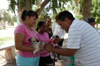 Campaña. Durante una semana se instalarán módulos de vacunación  canina y felina en diferentes sectores del municipio. (EL SIGLO DE TORREÓN/ MARY VÁZQUEZ)