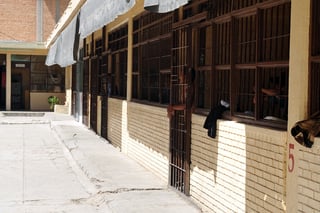 Acciones. Cinco personas fueron detenidas en Torreón por manejar en estado etílico.