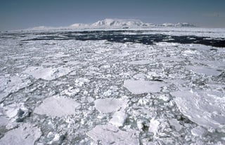 El manto helado se redujo en 1.10 millones de kilómetros cuadrados en comparación con la media contabilizada entre 1981 y 2010, que se cifró en 15.64 millones de kilómetros cuadrados. (ARCHIVO)