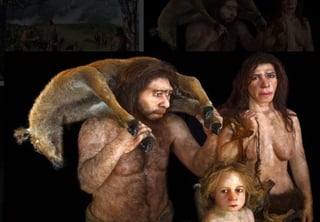Una nueva investigación sobre el antepasado del hombre señala que los neandertales practicaban el canibalismo como rito o necesidad. (ARCHIVO) 