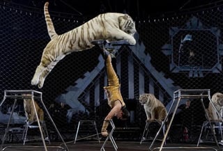 Prohibición de la presentación de animales silvestres en los circos. (ESPECIAL)