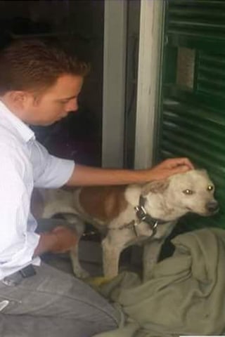 Acciones. Control Canino ha rescatado a cuatro perros abandonados. (EL SIGLO DE TORREÓN)