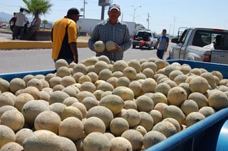 Precio. El precio del melón no favorece a los productores cayó hasta en 2.50 pesos kilo. (MARY VÁZQUEZ)