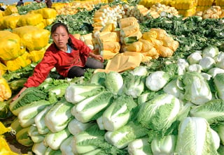 Tras regar con millones de yuanes la investigación sobre transgénicos durante años, Pekín se ha lanzado ahora a divulgar estos cultivos entre su reacia población, con el objetivo de preparar el terreno para una comercialización a gran escala. (ARCHIVO)