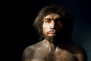 El hallazgo, fue toda una revolución, y es que desde 1964 no se había descubierto ninguna especia nueva del género Homo. (TOMADA DE INTERNET)