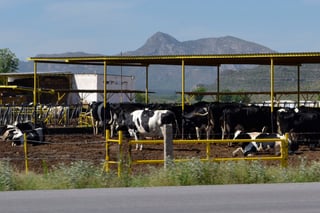 Afectaciones. La entrada de productos de importación, baja la producción de buenos alimentos en el país, como la leche de vaca. (CLAUDIA LANDEROS)