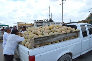Mejoría. Serán sólo productores tardíos quienes perciban los beneficios de los incrementos en el precio del melón de Matamoros. (ROBERTO ITURRIAGA)