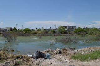 Insalubridad. Se quejan de terreno lleno de agua sucia en la entrada de la colonia Monte Real, al sur de Torreón. (EL SIGLO DE TORREÓN)