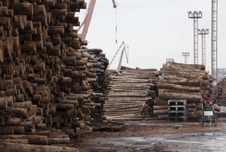 Cada año pierde cerca del 0.6 por ciento de los 27 millones de hectáreas de bosque que posee debido a la explotación ilegal de madera. (ARCHIVO)