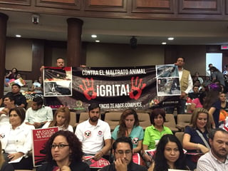 Apoyo. Un grupo de asociaciones, albergues y ciudadanos de Torreón, acudieron al Congreso. (Cortesía)