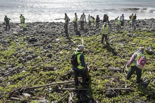 Los números de serie de los restos de avión hallados el pasado julio en la isla francesa de La Reunión, en el océano Índico, se corresponden con los del Boeing MH370 de Malaysia Airlines desaparecido en marzo de 2014. (EFE)