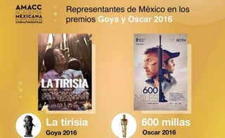 Representantes. Ambos filmes darán la cara por México en la próxima contienda de premios a lo mejor del cine.