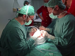 Órganos. Nuevo León, Jalisco y el Distrito Federal es donde más se realizan trasplantes de órganos.