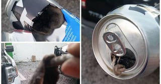La cervecera Cuauhtémoc Moctezuma/Heineken México descartó que fuera una rata lo que un cliente halló dentro una lata de cerveza Tecate Light en Monclova, Coahuila. 