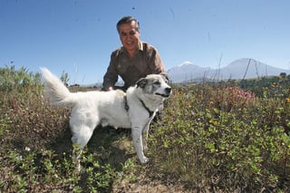 Vigilante. En la cima de la montaña más alta de México vive este perro criollo que, sin contar con adiestramiento, cuida de los alpinistas.