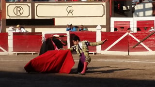 Este sábado se tiene previsto que se vuelvan a celebrar las corridas de Toros en la capital del estado. (ARCHIVO)