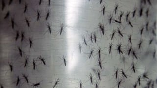 Siguen las acciones de fumigación en las áreas de riesgo en Coahuila contra el zika. (TWITTER)