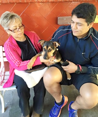 Campaña. Intensifican las acciones de vacunación y esterilización para mascotas en Gómez Palacio. (EL SIGLO DE TORREÓN)