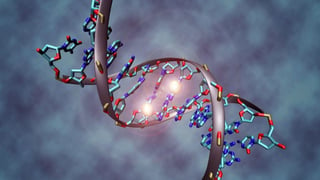 Science declaró el método de edición del genoma conocido como CRISPR como el descubrimiento científico de 2015, dada la fortaleza mostrada por esta técnica durante los últimos doce meses. (INTERNET)