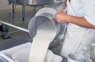 Frente. Productores de leche en la región piden apoyo para la producción de leche fresca. (ARCHIVO)